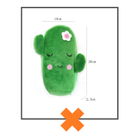 Etui fluffy cactus
